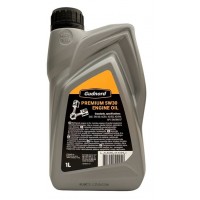 Alyva variklinė Premium 5W30 1L